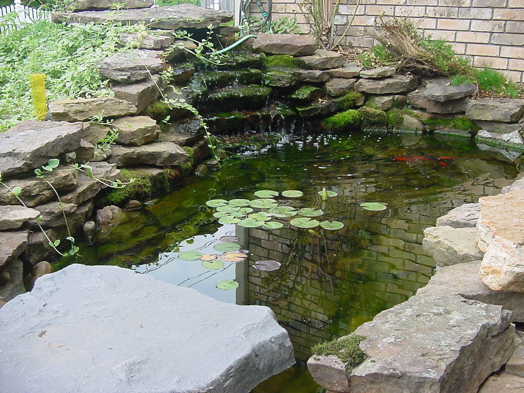 Small Backyard Koi Pond Ideas